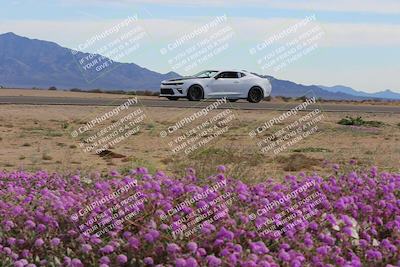 media/Jan-08-2023-SCCA SD (Sun) [[8f6a5b9391]]/Advanced Group/Session 2 (Short Straight)/